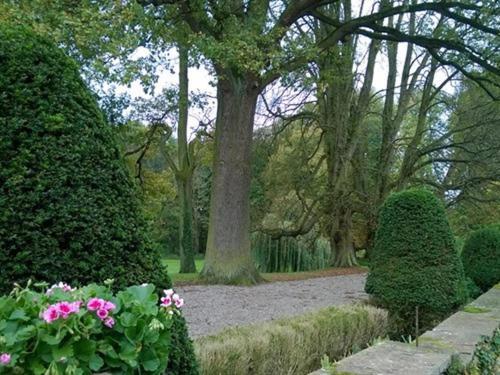 Le Chateau D'Osthoffen Luaran gambar
